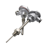 Sonde à thermocouple de type K Capteur de température Capteur Pt100 RTD à 2 fils Thermocouple industriel pour les mesures de température