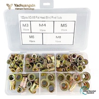 Lot de 100 rivets aveugles à tête plate M3 M4 M5 M8 en acier zingué – Assortiment