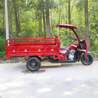 Tricycle de fret économique à essence, moto à grande entreaxe, tricycles motorisés fermés pour bébés, pour la vente ambulante et le transport