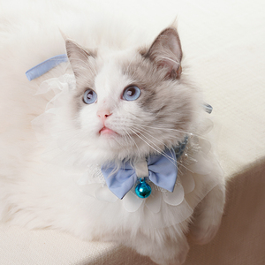 Lindo <span class=keywords><strong>collar</strong></span> decorativo de poliéster para gatos y perros con encaje de princesa azul y toalla de baba de campana con lazo - Product Image 6