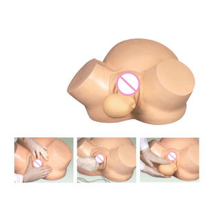 Simulador de Entrenamiento de Partería, Maniquí de Parto con Estructuras Humanas Detalladas para la Enseñanza a Mujeres Embarazadas (Material PVC) - Product Image 2