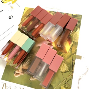 Giá rẻ Glossy Nude Lipgloss Nhà cung cấp màu hồng trắng Wand Lip Gloss ống không có logo OEM trang điểm cho đôi môi - Product Image 2
