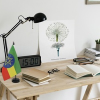 Drapeau de table d'Éthiopie, fabrication en usine, personnalisation en gros, décoration de bureau, drapeau miniature 14*21cm