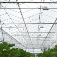 Film de serre à lumière diffusée à 7 couches, fabricant de film plastique anti-UV et anti-goutte pour la culture des fleurs et la floriculture