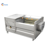 Machine à laver et à peler le curcuma et le gingembre JOYSHINE, très vendue au Sri Lanka, capacité de 1000 kg