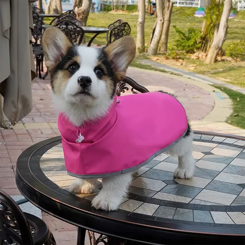 เสื้อกันฝนสำหรับสุนัขสำหรับสุนัขผลิตภัณฑ์สัตว์เลี้ยงตามสั่งแบบหรูหราสีทึบ