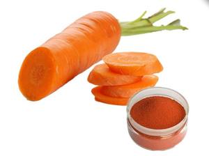 สินค้าขายดีเม็ดสีธรรมชาติสีอาหารเบต้าแคโรทีน 10%,<span class=keywords><strong>20%</strong></span>,30% - Product Image 5