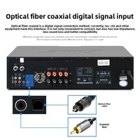 SHILE OK-555B Amplificateur Audio Professionnel 3D Intégré pour Conférences et Théâtres avec MP3 et USB
