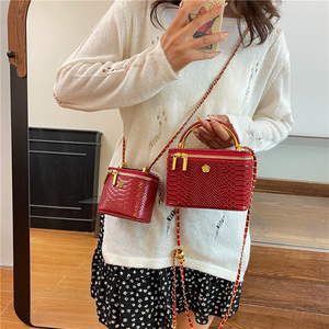 <span class=keywords><strong>Borsa</strong></span> <span class=keywords><strong>a</strong></span> <span class=keywords><strong>Tracolla</strong></span> da Donna di Tendenza, <span class=keywords><strong>Mini</strong></span> <span class=keywords><strong>Borsa</strong></span> <span class=keywords><strong>a</strong></span> Secchiello Quadrata con Catena Effetto Coccodrillo, Ideale per Ragazze e Signore - Product Image 5