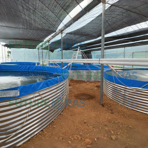 Conteneurs d'Aquaculture en Plastique d'Extérieur Bassin d'Élevage de Poissons Rond Commercial Extra Large - Product Image 4