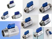 Mini-vanne à bille en acier inoxydable haute pression 316