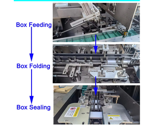 YH Tam Otomatik Yatay Kadın Pedi / Tampon / Hijyenik Ped / Karton Kutu Paketleme Makinesi Kartonlama Makinesi - Product Image 4
