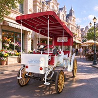 Charrette de tourisme rouge sur mesure, charrette de mariage, charrette électrique, transport spécial