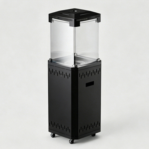 <span class=keywords><strong>Chauffage</strong></span> de <span class=keywords><strong>terrasse</strong></span> <span class=keywords><strong>au</strong></span> <span class=keywords><strong>gaz</strong></span> 38000 BTU, design tour avec foyer visible, sur roulettes, <span class=keywords><strong>pour</strong></span> jardin, <span class=keywords><strong>terrasse</strong></span> et repas en extérieur - Product Image 2