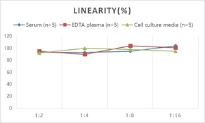 Human PKM2(<strong>Pyruvate</strong> <strong>Kinase</strong> <strong>Muscle</strong>) ELISA Kit - Product Image 3