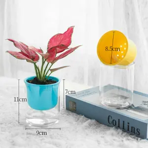 Transparent Cheap Flowerpot Automatic Water Vase Plastic Resin Flowerpot