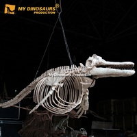 Z MY DINO Musée Exposition personnalisée Squelette d'animal artificiel Squelette d'animal marin Fossile à vendre