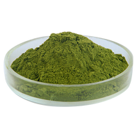 Poudre de Qasil en vrac d'usine pure naturelle de bonne qualité en gros pour des soins de la peau