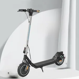 China Leverancier Normale Elektrische Motos Electrica Adulto Scooter Goedkope 36V 10in Air Wheel E Bike Elektro Roller