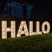 Lettres lumineuses personnalisées, lettres de marquee, enseignes lumineuses, enseignes LED pour la décoration de fête