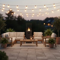 Foyer d'extérieur portable à flamme réglable avec chauffe-terrasse à gaz en verre trempé Chauffage de terrasse à flamme propane amovible Foyer
