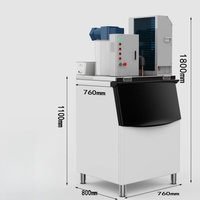 Máquina de Hielo en Escamas Haiyue de 0.3T con Certificado CE, Máquina Industrial para Hacer Hielo en Escamas para Pescado