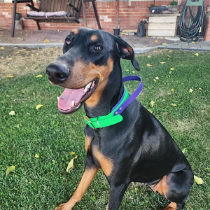 <span class=keywords><strong>Collar</strong></span> de perro duradero ajustable fácil de limpiar de PVC resistente al agua con mango cómodo para perros medianos y grandes collares de entrenamiento para mascotas - Product Image 4