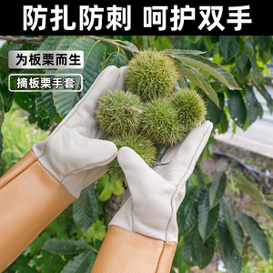 Gants de cueillette de châtaignes, épais, résistants aux coupures, imperméables, pour le jardinage, l'aménagement paysager et l'agriculture - Product Image 4