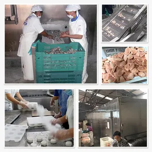 AICN 고품질 생선 새우 만두 iqf 싱글 패스트 더블 나선형 폭발 퀵 냉동기 가격