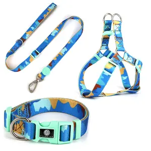 Designer Hunde geschirr Haustier produkte Hunde kette Haustier halsbänder & Leinen Luxus halsband Set