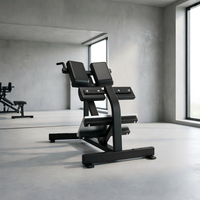 Banc d'hyperextension à 45 degrés pour club de gym, appareil commercial d'extension dorsale pour exercices du bas du dos