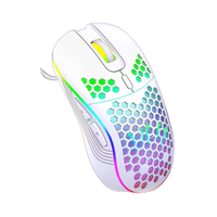 OEM ODM Mouse Gaming Ergonomis Dapat Diprogram Ringan Sensor Optik USB Bertenaga Baterai RGB Backlit 1200 DPI 2.4Ghz Nirkabel