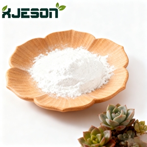 เอนไซม์อัลคาไลน์โปรตีเอสเกรดอาหาร - Product Image 1