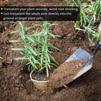 Pots de pépinière de tourbe carrés de jardin extérieur biodégradables pour la germination des graines d'herbes et la pépinière de plantes