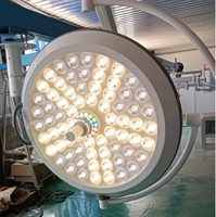 Lampe chirurgicale vétérinaire à LED sans ombre à double tête murale pour clinique vétérinaire, hôpital, chien, Saturn SHD-LED700