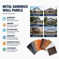 Panneau mural extérieur en PVC ignifuge et imperméable personnalisé, isolation en sandwich PU, revêtement métallique pour conteneurs et maisons mobiles, 50 mm