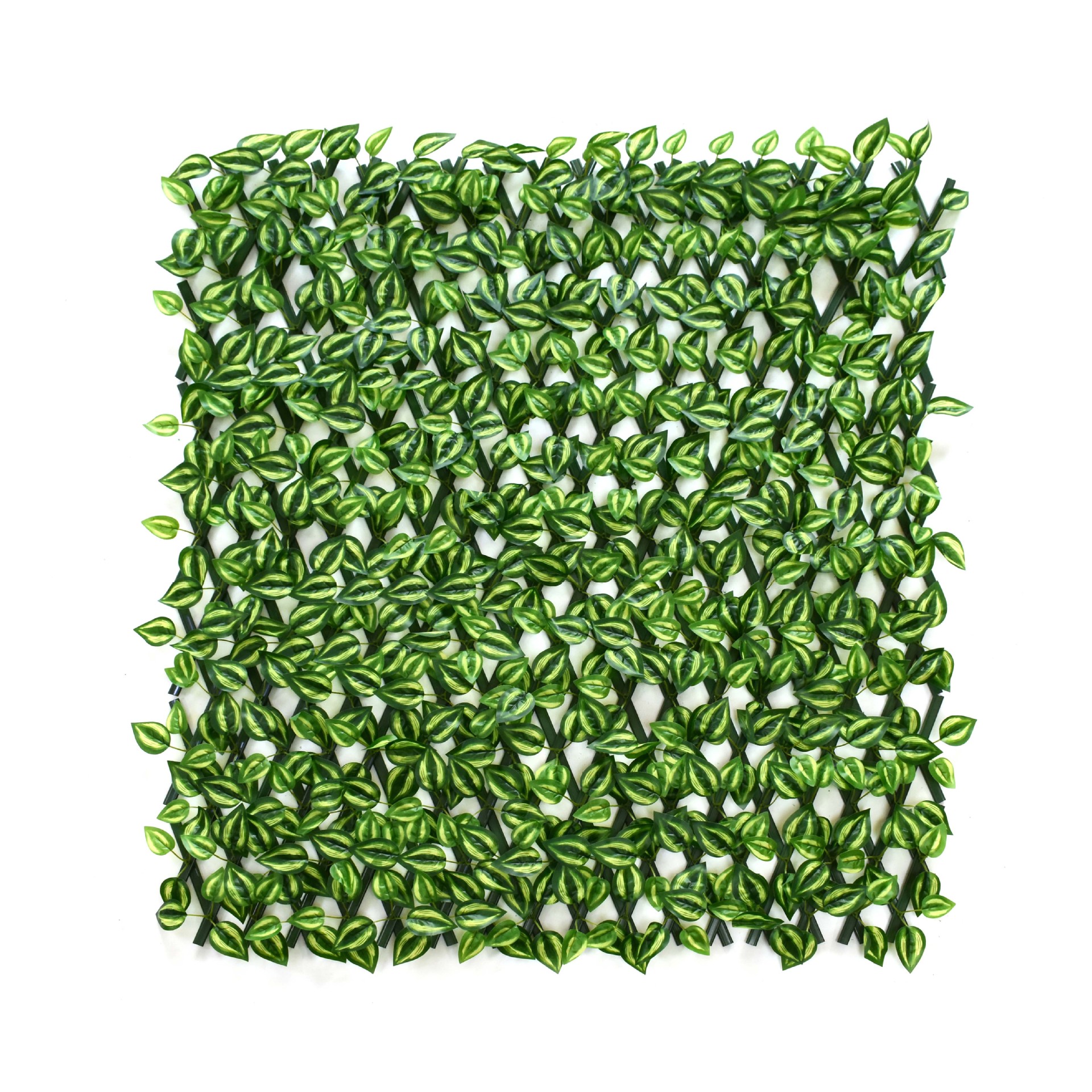 รั้วใบแตงโม PVC