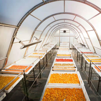 Déshydrateur Solaire pour Grains, Poissons, Café, Épices, Aliments, Fruits, Légumes, Produits de la Mer, Serres