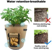 Sacs de culture en tissu non tissé respirant de 10 gallons pour le jardin domestique pour la plantation de pommes de terre tomates autres légumes