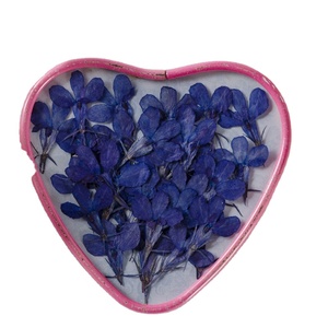 DIY — Scrapbooking <span class=keywords><strong>Lobelia</strong></span> Erinus, résine époxy, bricolage, plante naturelle, écologique, véritables fleurs pressées - Product Image 1