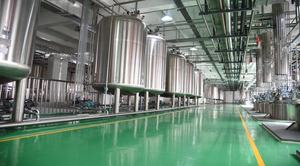 Harga grosir bubuk buah konsentrat jus Blackcurrant larut instan - Product Image 3