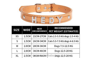 Kerah anjing PU huruf berlian dekorasi renda gaya lucu sederhana Aksesori hewan peliharaan kerah fitur hewan nilon - Product Image 3