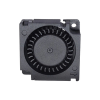 Ventilateur centrifuge DC3010 en gros, 12V, basse pression, roulement à manchon, ultra-mince 3cm, silencieux, turbo-souffleur de refroidissement pour humidificateurs
