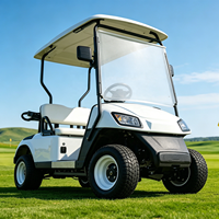 Voiturette de golf électrique 1-2 places 48V 100A 150A 200A avec batterie au lithium, sûre et stable, idéale pour les terrains de golf et les villas