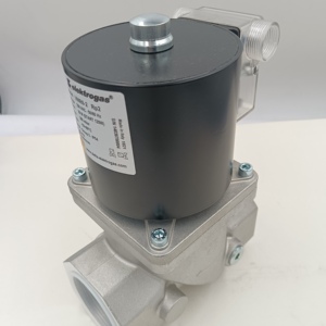 VMR4-2 VMR3-2 VMR6-2 Solénoïde d'allumage combiné pour Elektrogas STOCK (États-Unis) - Product Image 5