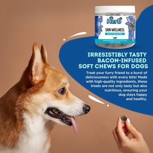 Suplemento Masticable Suave para Piel y Pelaje de Perros, Marca Privada OEM/ODM, Enriquecido con Biotina, Fórmula para el Cuidado de la Salud de las Mascotas, Alivia la Picazón y da Brillo al Pelaje - Product Image 4
