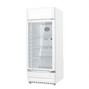 Refrigerador Comercial para Supermercados con Puerta de Vidrio, Enfriador de Bebidas de Una Sola Temperatura, Sin Escarcha, Modelo DSS-256WM* - Product Image 1