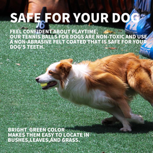 AFP Super Bouncy Durable 5cm/2 pulgadas Paquete de 6 pelotas de tenis Interactivo Pet Outdoor Fetch Training Toy para Mini Dog Ball Launcher - Product Image 5