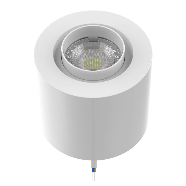 Modern Design Style Dimmable LED Ceiling Light Easy Installation Surface-Mounted for Home or Office 90mm Cut Out Extendable