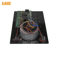Amplificateur de plaque 200 Watts RMS Class AB pour armoires de subwoofer PA DJ HiFi puissant OEM ODM Mono amplificateur de subwoofer Audio domestique